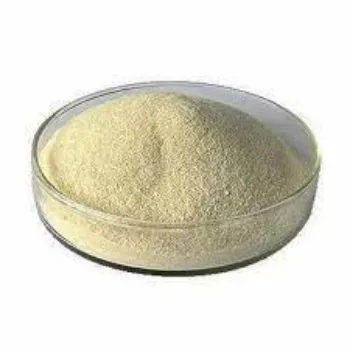 Sodium Alginate
